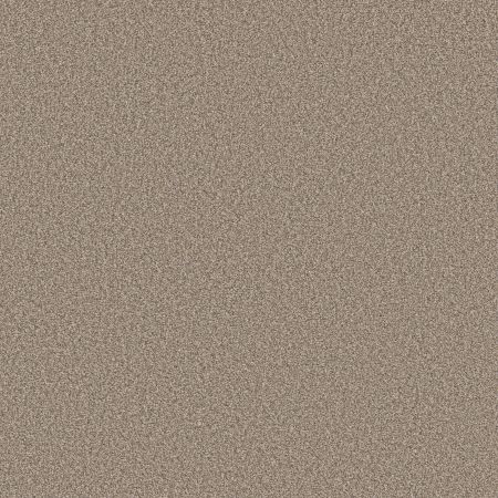 Shaw Floors SFA Tweed Comfort II Honeymoon