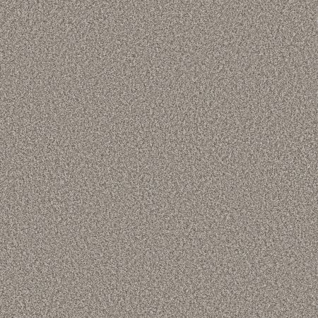 Shaw Floors SFA Tweed Comfort II Stand Out