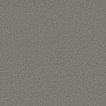 Shaw Floors SFA Tweed Comfort II First Class