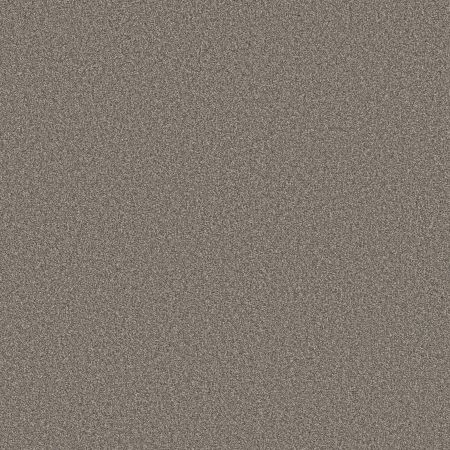 Shaw Floors SFA Tweed Comfort II Marsh Grass