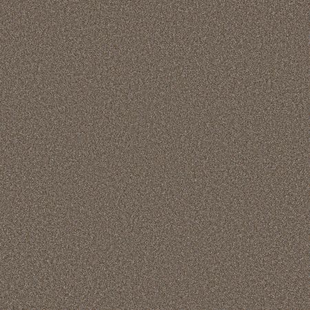 Shaw Floors SFA Tweed Comfort Blue Gathering