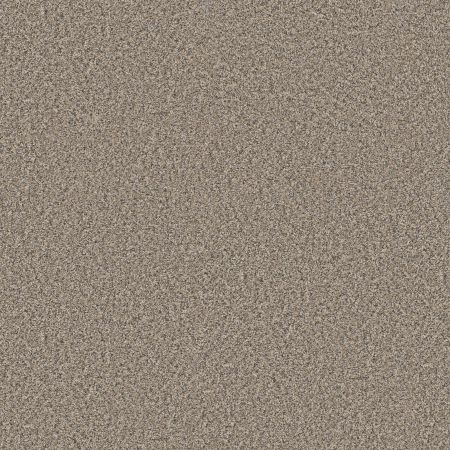 Shaw Floors Simply The Best Always Right I Cork