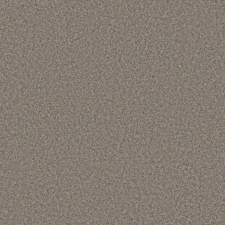 Shaw Floors Simply The Best Always Right I Graphite