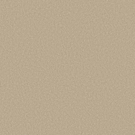 Shaw Floors Pet Perfect Way To Go I Warm Breeze