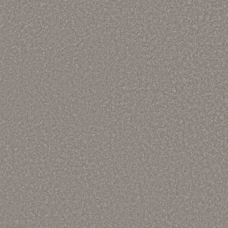 Shaw Floors Pet Perfect Way To Go I Chicago Fog