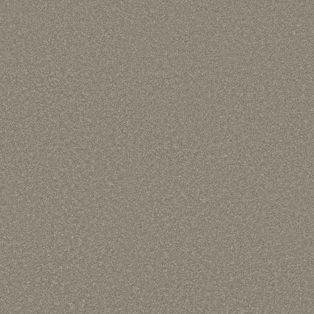 Shaw Floors Pet Perfect Way To Go I Mossy Oak