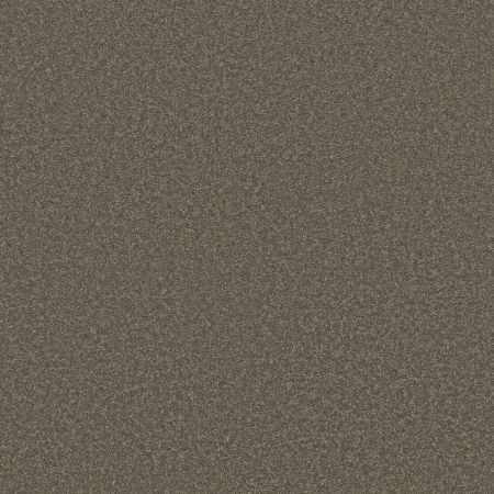 Shaw Floors Pet Perfect Way To Go I Urban Studio