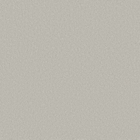 Shaw Floors Pet Perfect Way To Go II Misty