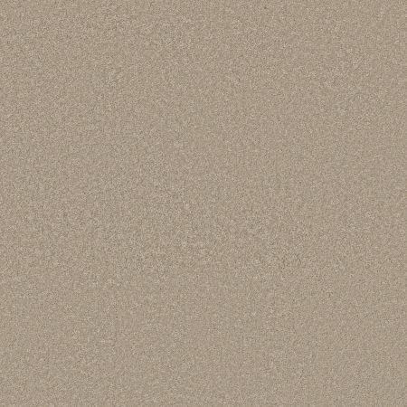 Shaw Floors Pet Perfect Way To Go II Desert Khaki