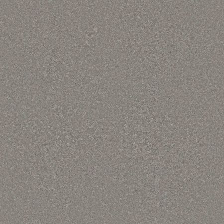 Shaw Floors Pet Perfect Way To Go II Chicago Fog