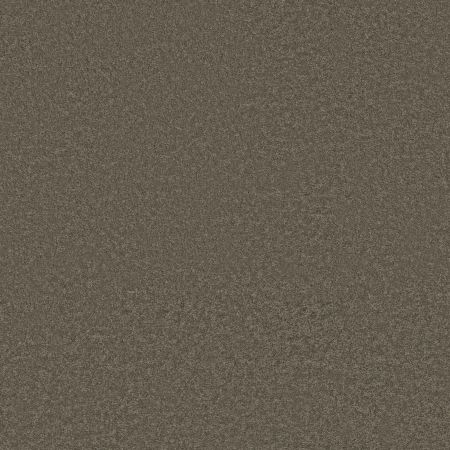 Shaw Floors Pet Perfect Way To Go II Urban Studio