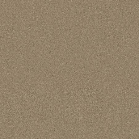 Shaw Floors Pet Perfect Way To Go III Hidden Treasure