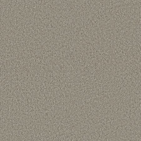 Shaw Floors Pet Perfect Plus Renewed Energy I Landscape