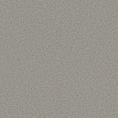 Shaw Floors Pet Perfect Plus Renewed Energy I Thin Ice