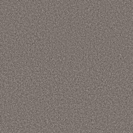 Shaw Floors Pet Perfect Plus Renewed Energy I Cityscape