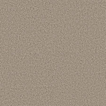 Shaw Floors Pet Perfect Plus Renewed Energy II Sandstone