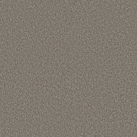 Shaw Floors Pet Perfect Plus Renewed Energy II Granite