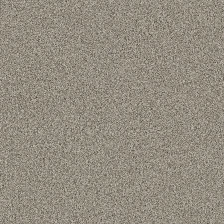 Shaw Floors Pet Perfect Plus Renewed Energy II Landscape