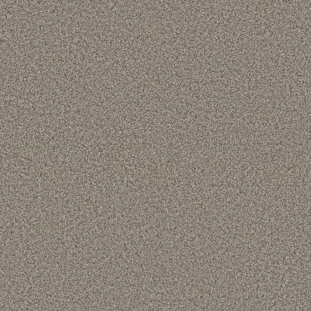 Shaw Floors Pet Perfect Plus Renewed Energy II Prairie Run