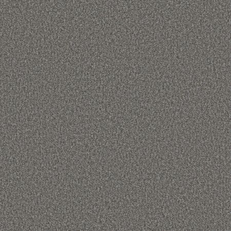 Shaw Floors Pet Perfect Plus Renewed Energy II Paris Sky