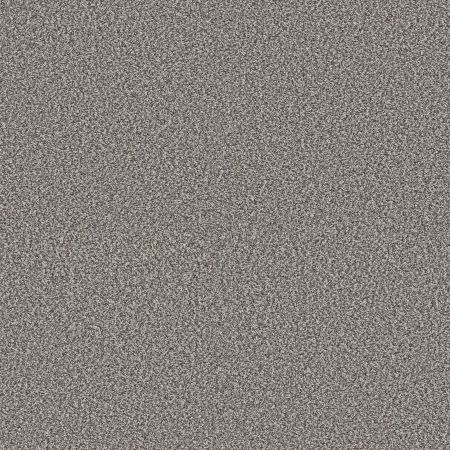 Shaw Floors Pet Perfect Plus Renewed Energy II Fog