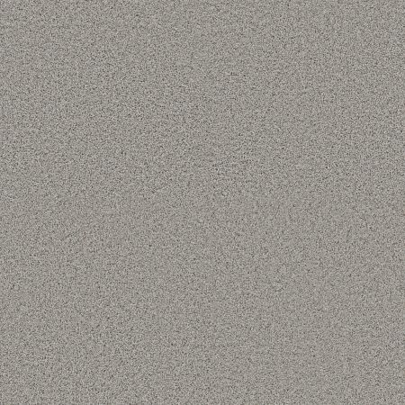 Shaw Floors Pet Perfect Plus Renewed Energy II Thin Ice