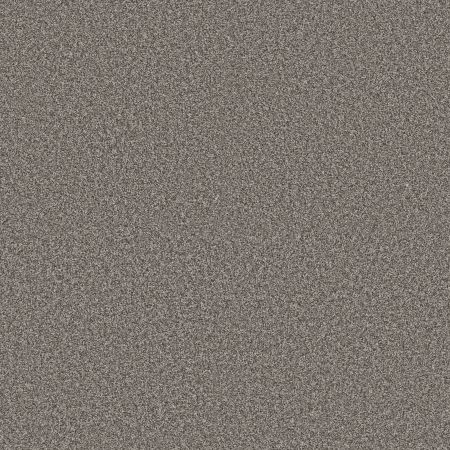 Shaw Floors Pet Perfect Plus Renewed Energy II Cityscape