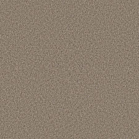 Shaw Floors Pet Perfect Plus Renewed Energy II Khaki