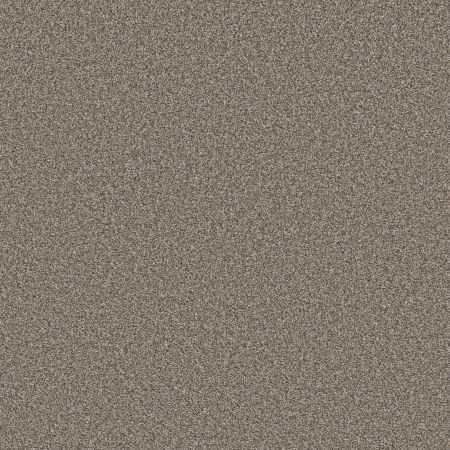 Shaw Floors Pet Perfect Remixed Classic Nutria