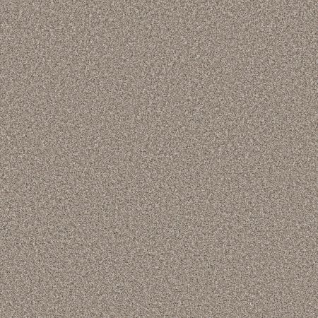 Shaw Floors Pet Perfect Remixed Classic Pebble