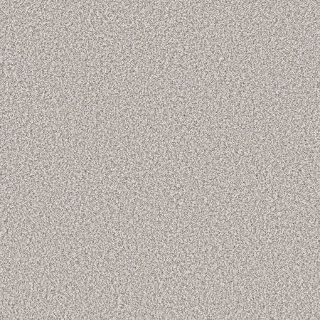 Shaw Floors Pet Perfect Remixed Classic Silver Lining