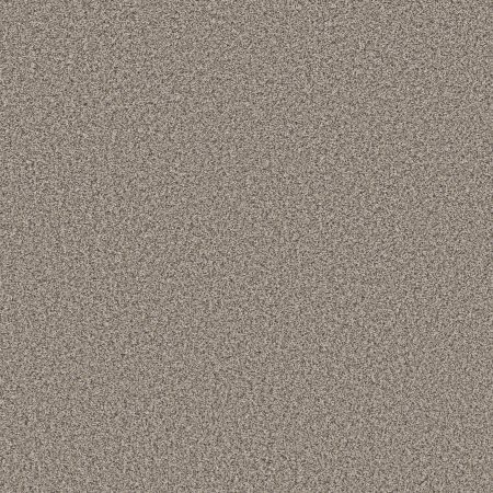 Shaw Floors Pet Perfect Remixed Classic Vapor