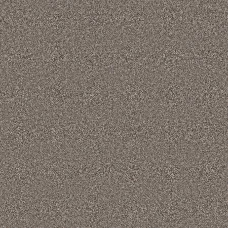 Shaw Floors Pet Perfect Remixed Classic Nature Trail