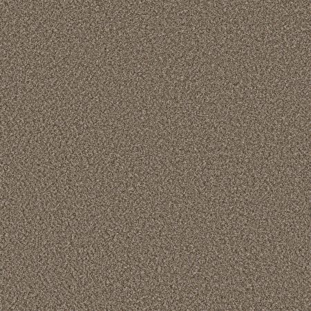 Shaw Floors Pet Perfect Remixed Classic Dry Creek