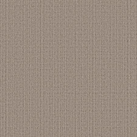 Shaw Floors Pet Perfect Ultra Lavish Cobblestone