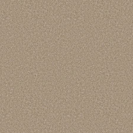 Shaw Floors Pet Perfect Ultra Lush Worn Path