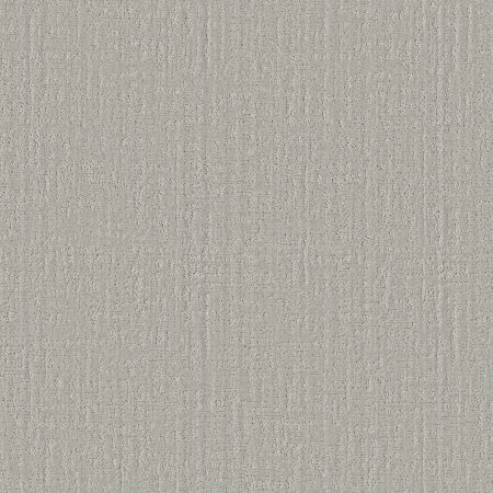 Shaw Floors Pet Perfect Shady Stroll Silver Cloud