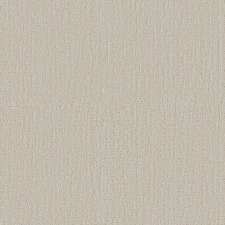 Shaw Floors Pet Perfect Shady Stroll Warm Light