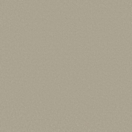 Shaw Floors Awaken Spirit I Whiskers