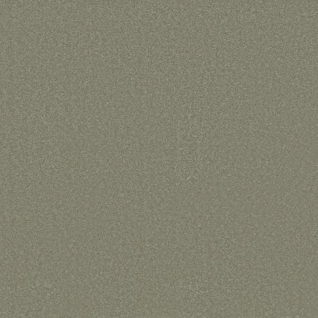 Shaw Floors Awaken Spirit I Silver Sage