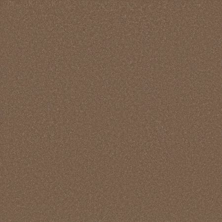 Shaw Floors Awaken Spirit I Copperglaze