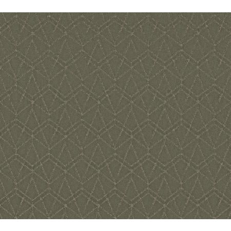 Shaw Floors Pet Perfect Plus Point Of View Rerooted Nature