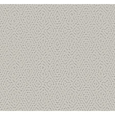 Shaw Floors Pet Perfect Plus Elaborate Artifact Frozen