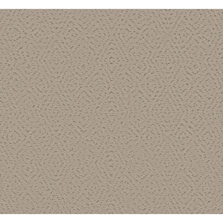 Shaw Floors Pet Perfect Plus Elaborate Artifact Chic Greige
