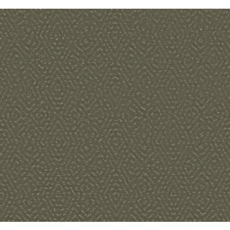 Shaw Floors Pet Perfect Plus Elaborate Artifact Rerooted Nature