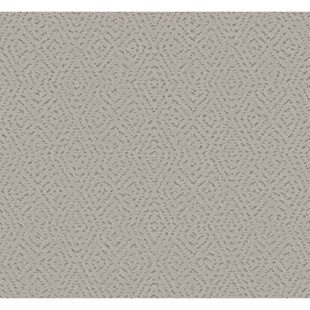 Shaw Floors Pet Perfect Plus Elaborate Artifact Rock Crystal