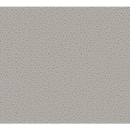 Shaw Floors Pet Perfect Plus Elaborate Artifact Gravity