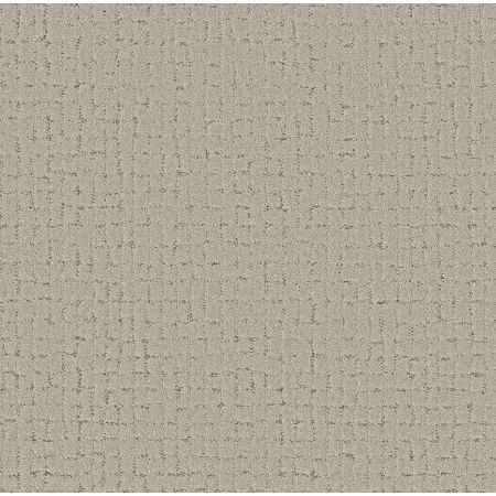 Shaw Floors Pet Perfect Plus Block Party River Birch