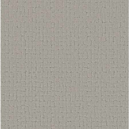 Shaw Floors Pet Perfect Plus Block Party Gravity