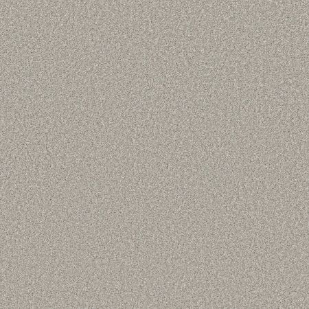 Shaw Floors Prevalent Wool